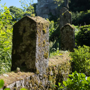 Exterior castle battlements covered in moss on a sunny day.
