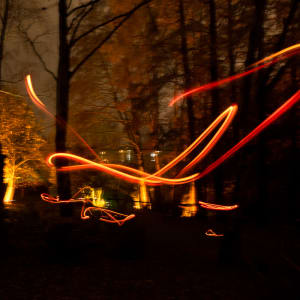 Orange streaks of light in a dark woodland.