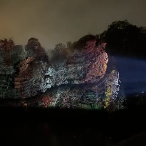 A projector projects repeating patterns on to the trees on a far riverbank.