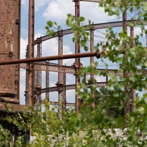 A tight crop through brambles of various parts of gas works railing.