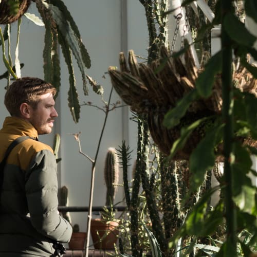 Several cactus in the foreground and background, with James looking outwards on the left hand side.