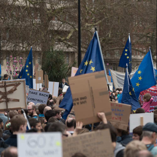 A sea of blue EU flags and protest signs in the crowd at the protest.