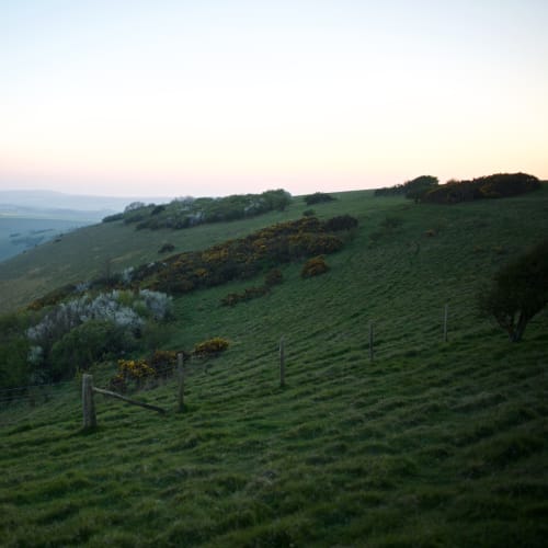 A grassy hill in late evening just before the light is gone.