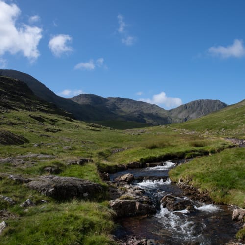 A small stream comes from the distance and under the camera. The hillside is green and sunny.