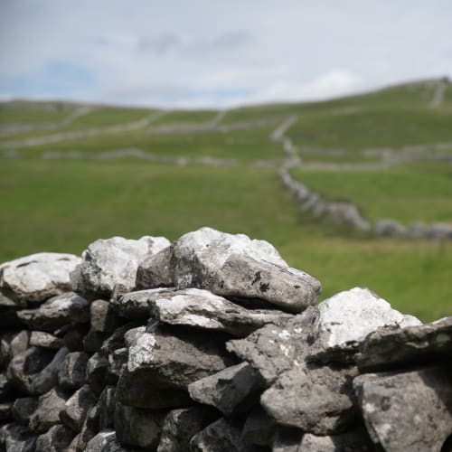A dry stone wall crosses the frame, with green fields in the background.