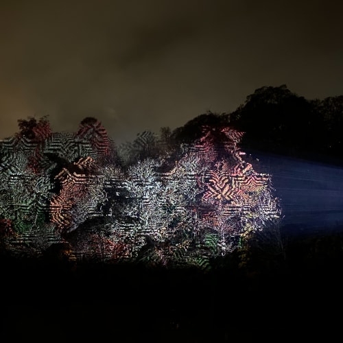 A projector projects repeating patterns on to the trees on a far riverbank.