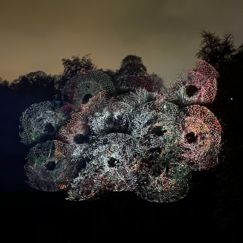 A projector projects repeating patterns on to the trees on a far riverbank.