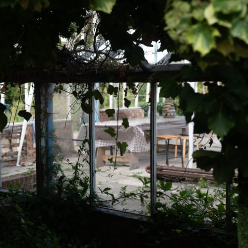 Looking through some green vines to the interior of a large greenhouse.