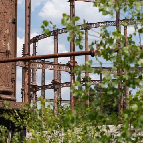 A tight crop through brambles of various parts of gas works railing.