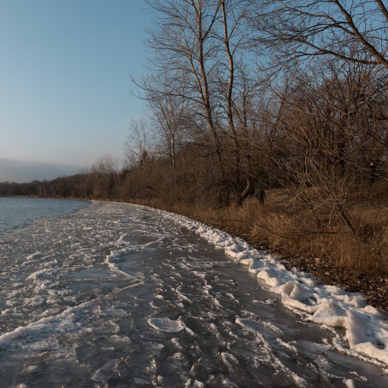 Looking along the shore of Lake Harriet. Close to the shore the edges of the lake have frozen in to intricate shapes. The banks are brown and autumnal.