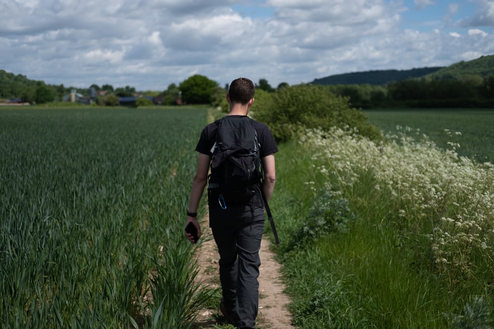 Oj walking ahead down a straight path. On the left are rows of wheat. On the right is a hedge of wild flowers.