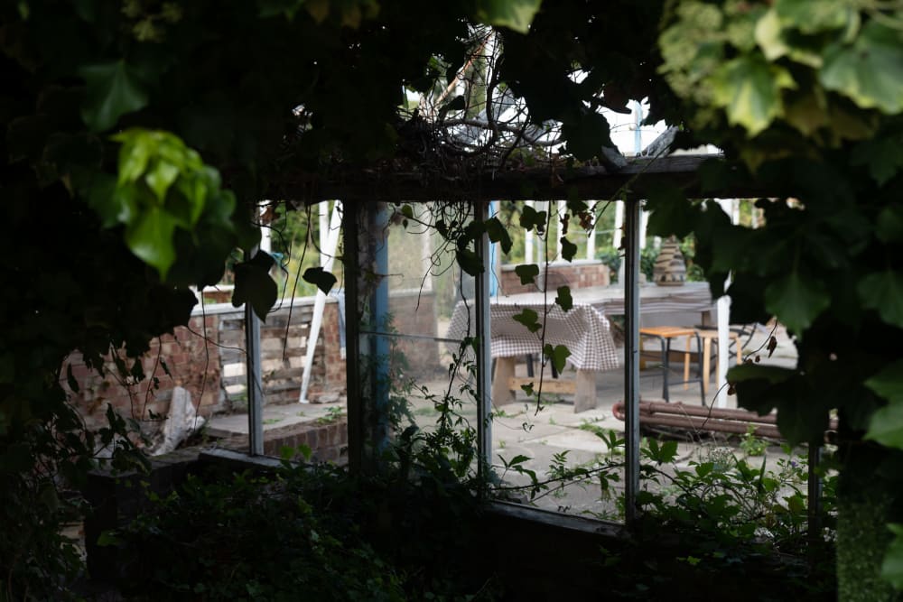 Looking through some green vines to the interior of a large greenhouse.