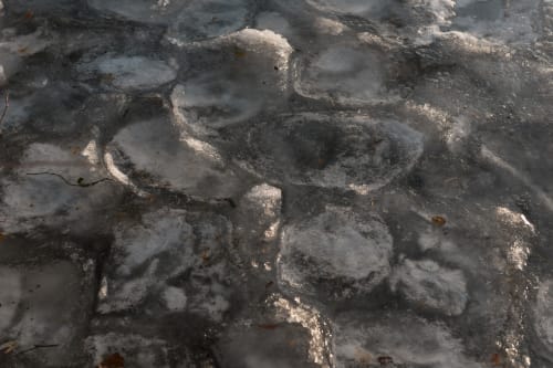 A photo of frozen ice on a lake. The ice has formed in to scalloped shapes as if large shells were pressed in to the surface and then removed when frozen.