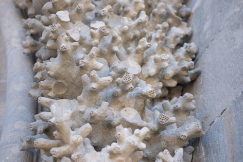 A close macro photo of some carvings in Pena Palace. The carvings look like worms / coral.