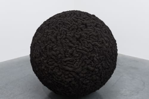 A large black sphere in the corner of a white room. The sphere has a complex detailed texture. The texture is made from iron filings attracted to the sphere.
