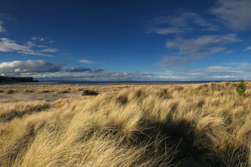 A panorama of a late afternoon beach. There’s tall grass across most of the beach, with a deep blue sky with dark clouds overhead.