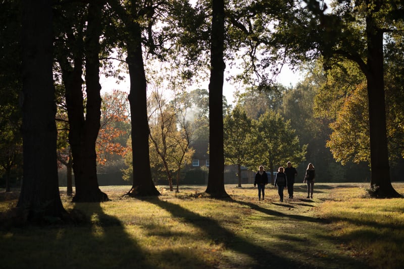 A photo of four people walking in late evening sunlight. They’re silhouetted with sunlight behind them.