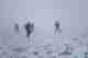 Four people walk on rocky and snowy ground in poor visibility.