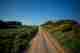 Looking down a dirt path with grass and bushes on either side in the late afternoon sun.