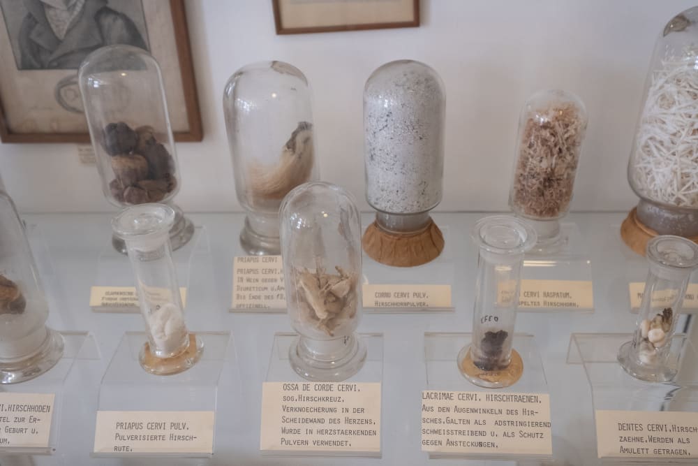 Several specimens in glass jars in a display case at the Pharmacy museum in Basel.