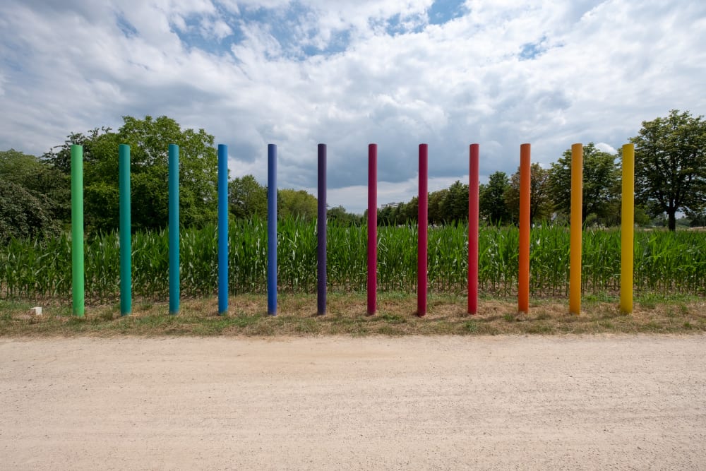 A photo of a sculpture in a field. It consists of 12 poles emerging from the earth and pointing upwards. They’re arranged in a row, and are coloured like a rainbow, from green to blue, red, and yellow.