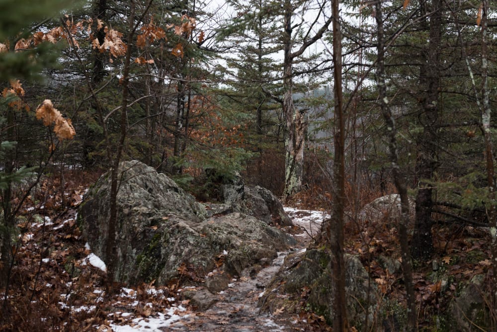 A photo of a rocky and snowy path in a forest. 