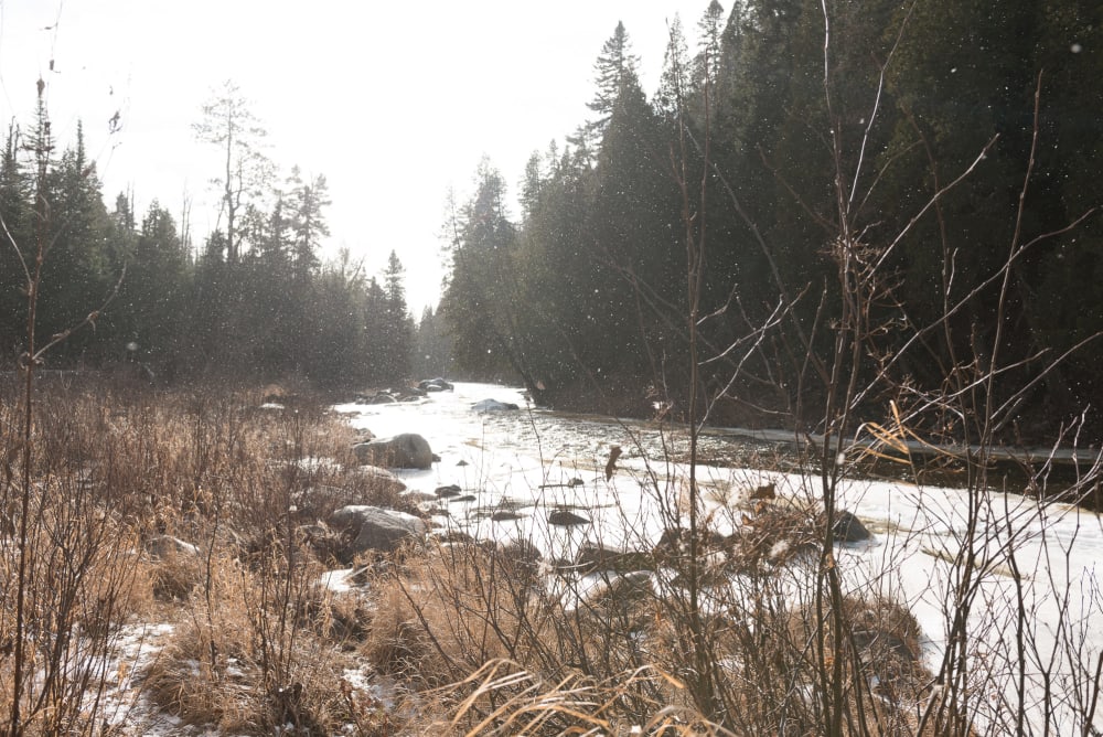 A photo taken from the banks of baptism river. There’s dry grases in the foreground and sparkles from snow in the air.