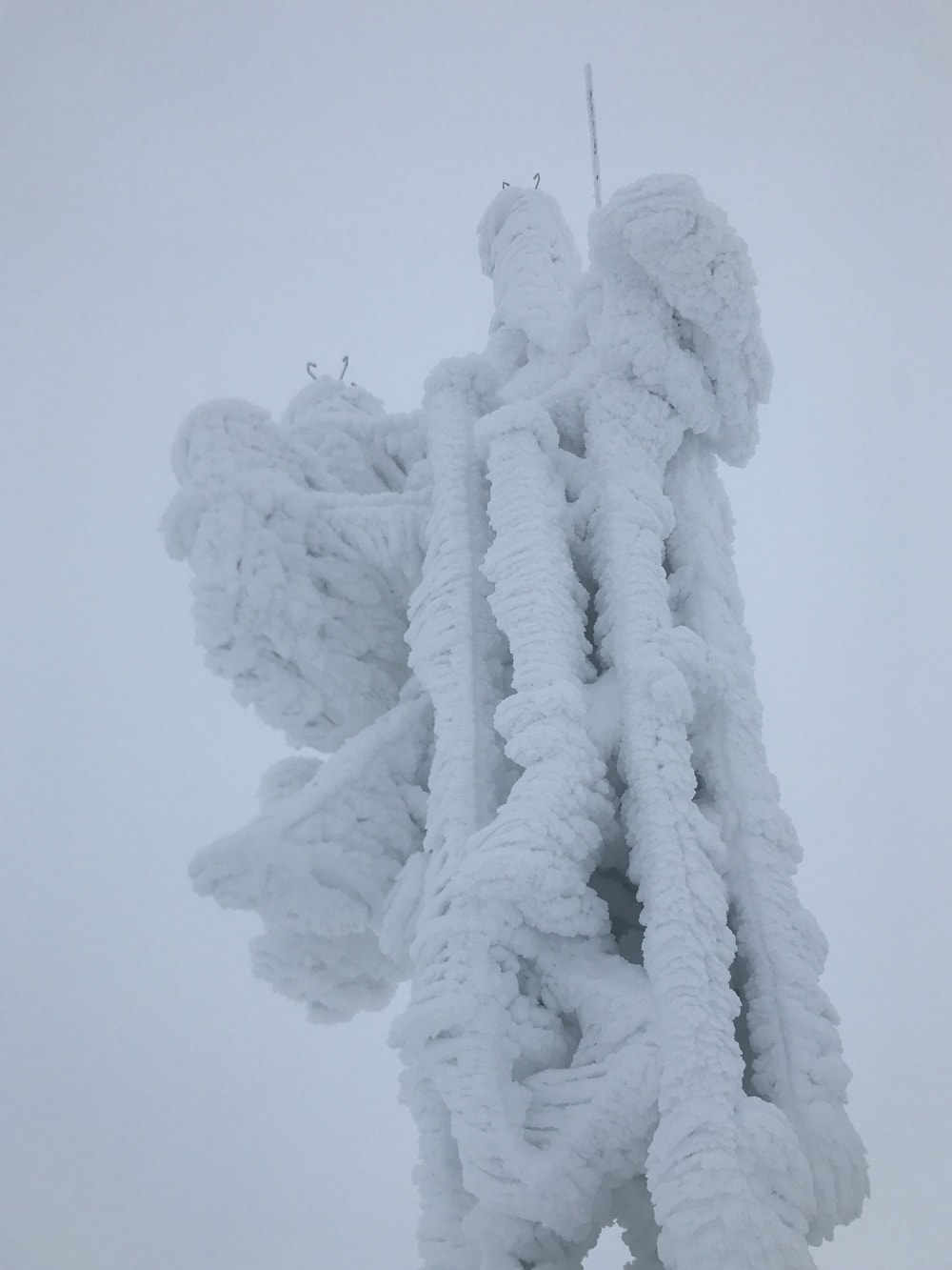 The weather station antenna at the top of Cairngorm mountain. It’s completely iced over.