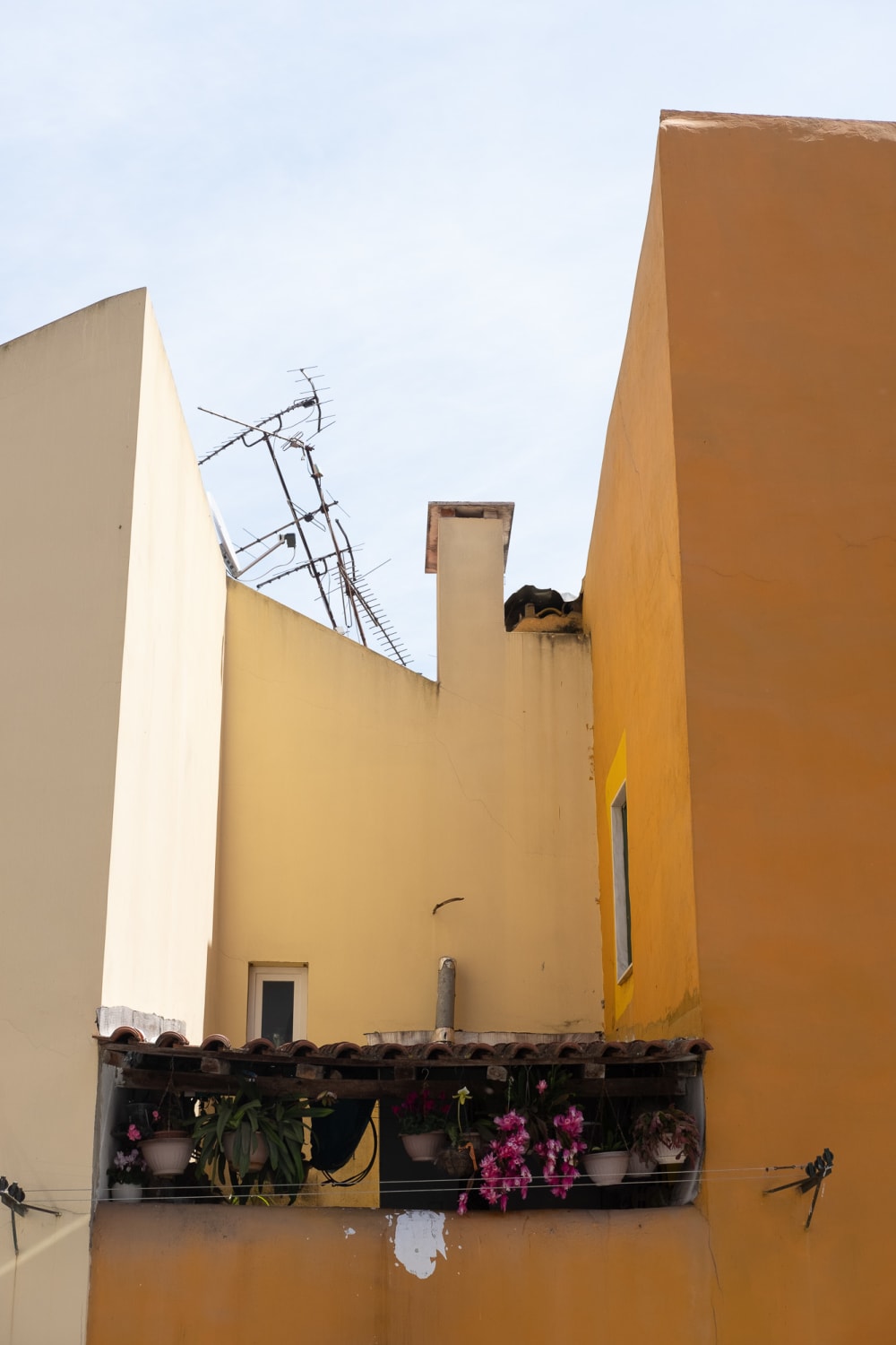 A photo of the walls and courtyard of a small house. The three walls are coloured in different shades of yellow - deep, mid, and light.