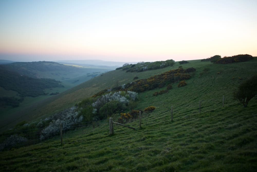 A grassy hill in late evening just before the light is gone.