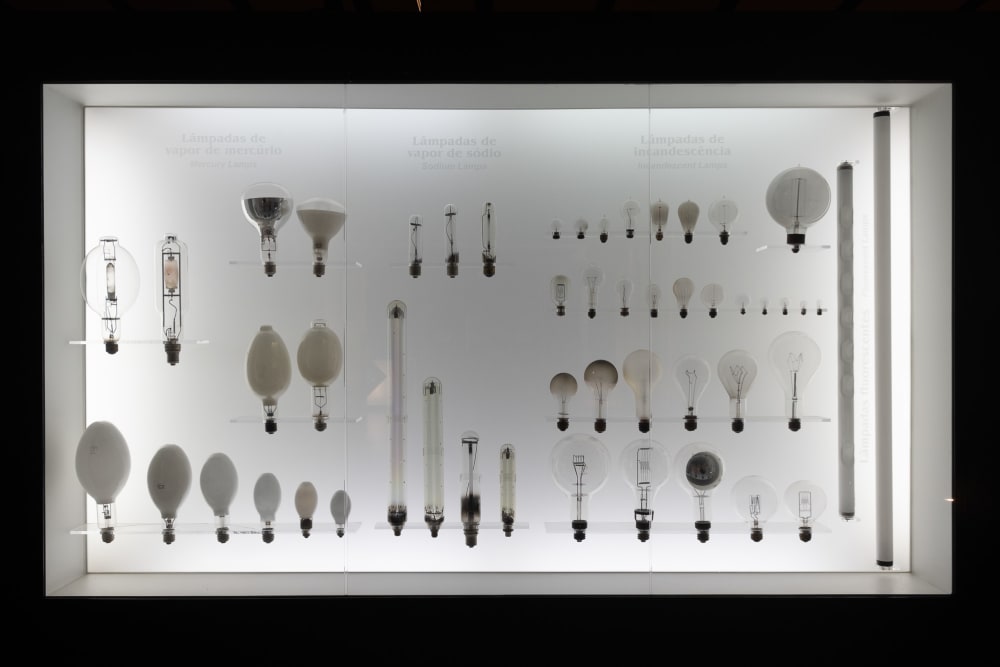 A display case of various types of light bulb.