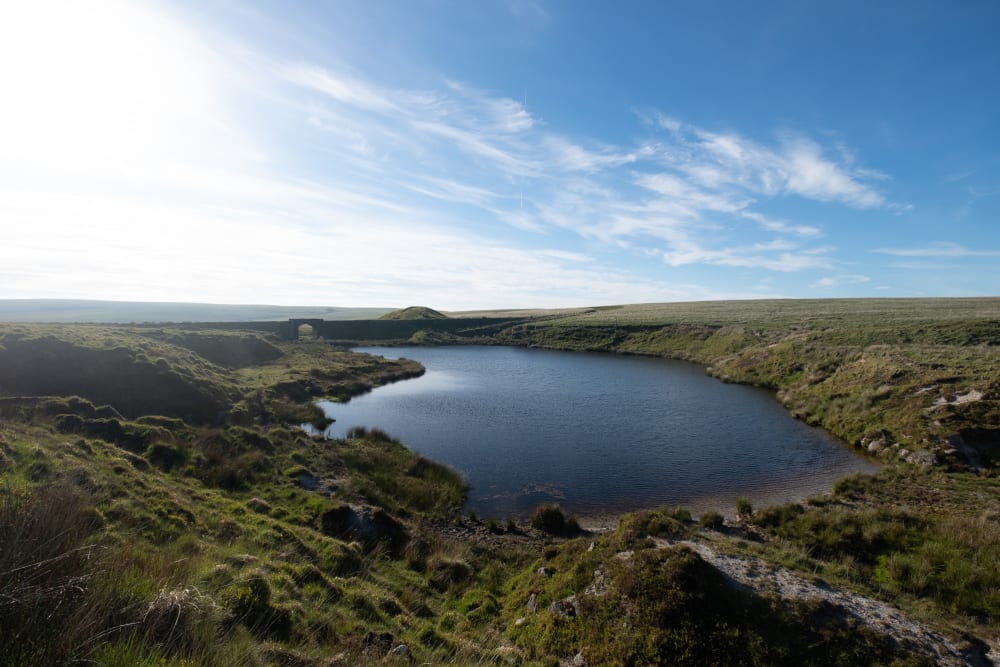 A small pond at the head of a stream lit by late afternoon sun and deep blue sky.