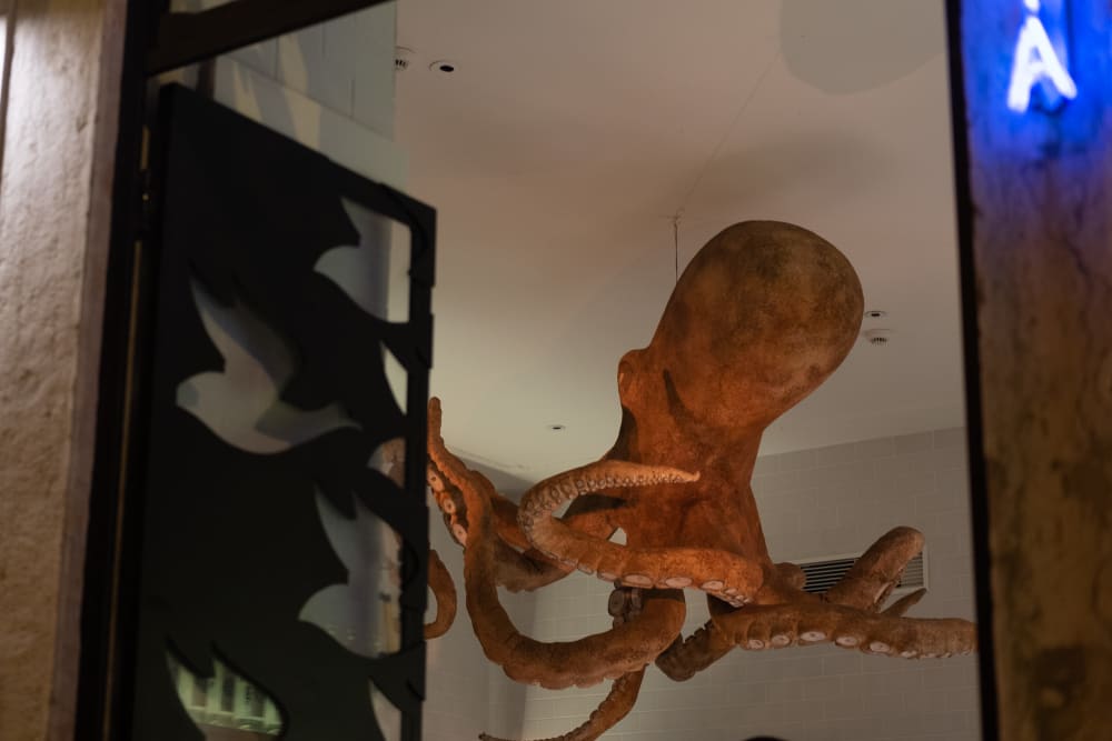 The camera looks through a window from outside to the interior of a room. In the centre of the room a large model of an octopus is suspended from the ceiling.