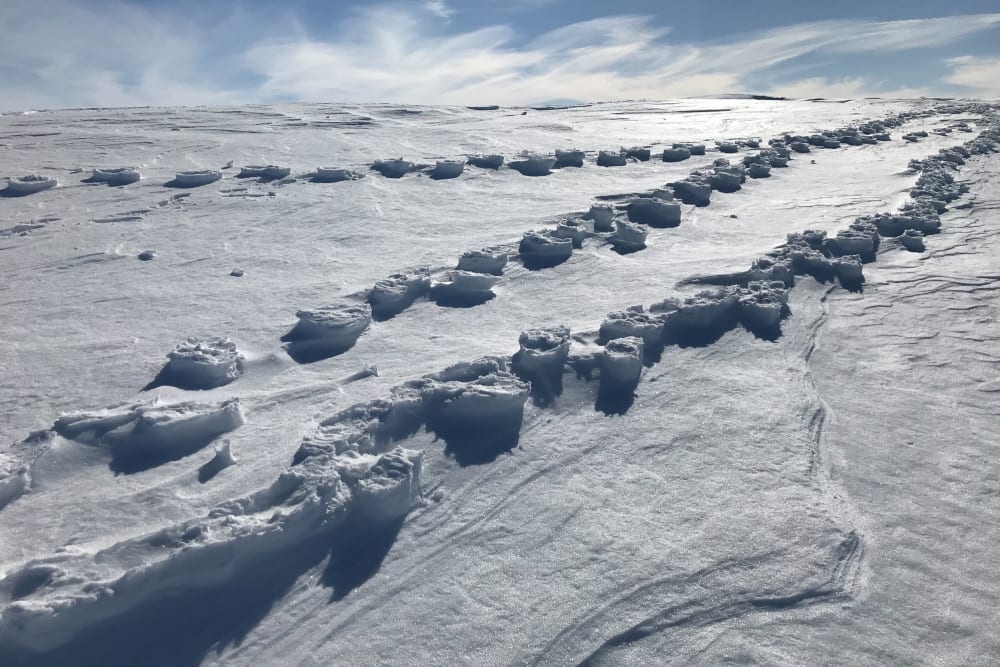 Three sets of footprints rise out from the snow. They’re compressed bits of snow, and the surrounding snow has eroded away.