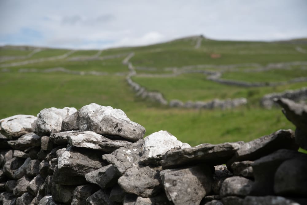 A dry stone wall crosses the frame, with green fields in the background.