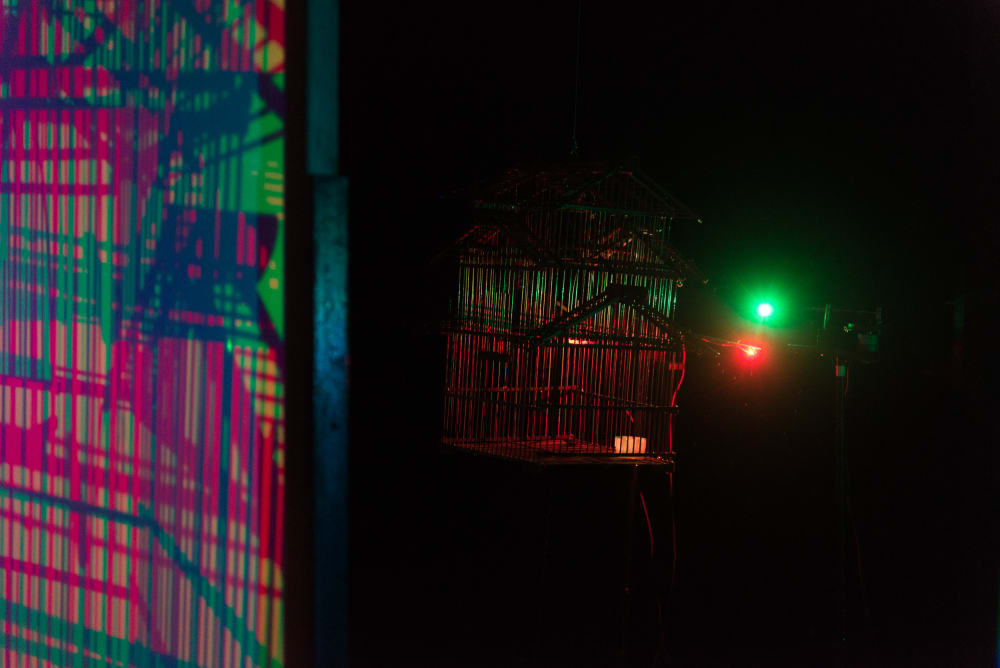 A birdcage is hung outside at night with bright green and red leds just behind it. In the foreground the shadows and light are projected on a screen.