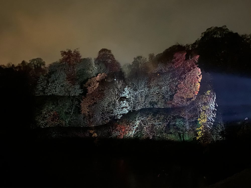 A projector projects repeating patterns on to the trees on a far riverbank.