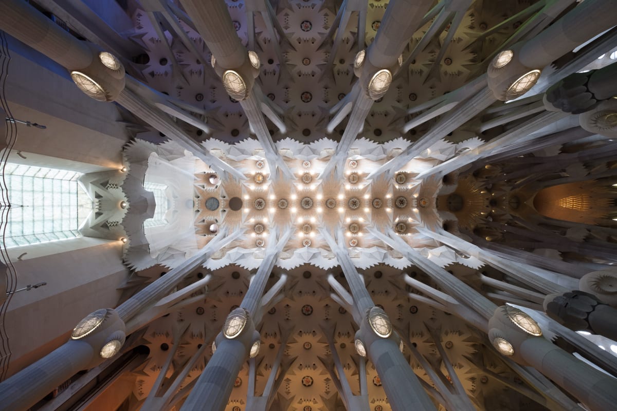 A photo looking directly up at the large hall of la Sagrada Família. There are 8 main support columns that radiate outwards.