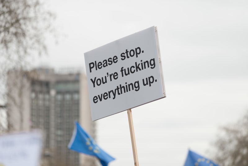 A single protest sign held high in the air. It’s white with black text. The text reads ‘Please stop. You’re fucking everything up.’