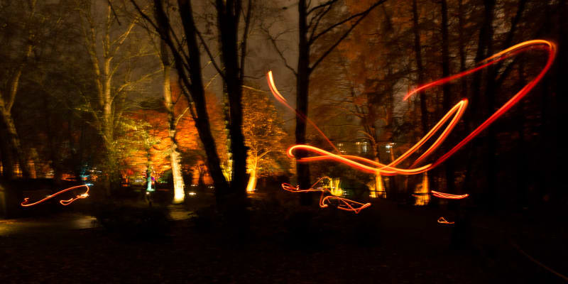 Orange streaks of light in a dark woodland.