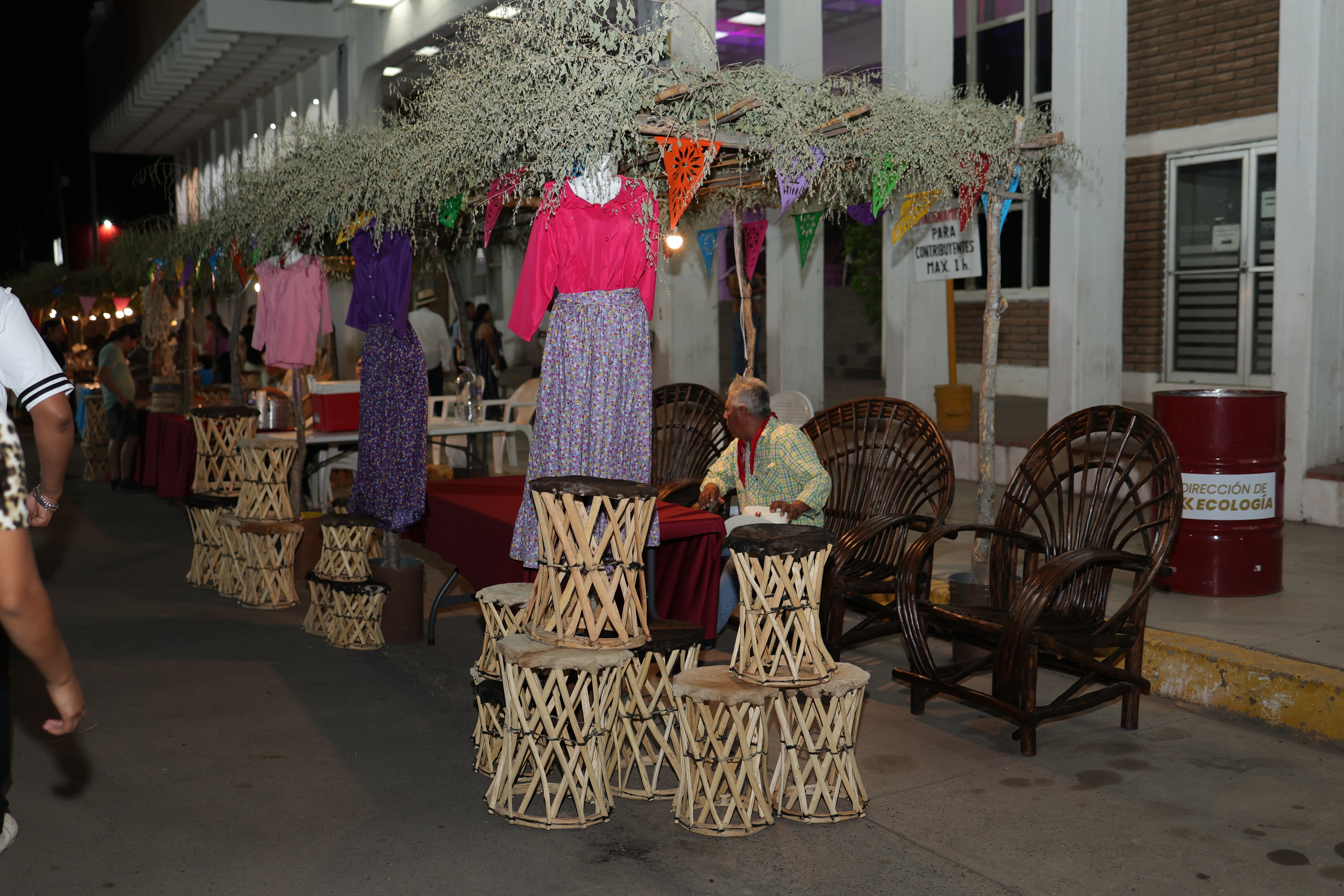 paseo-palacio-sabores-artesanias - Foto 229