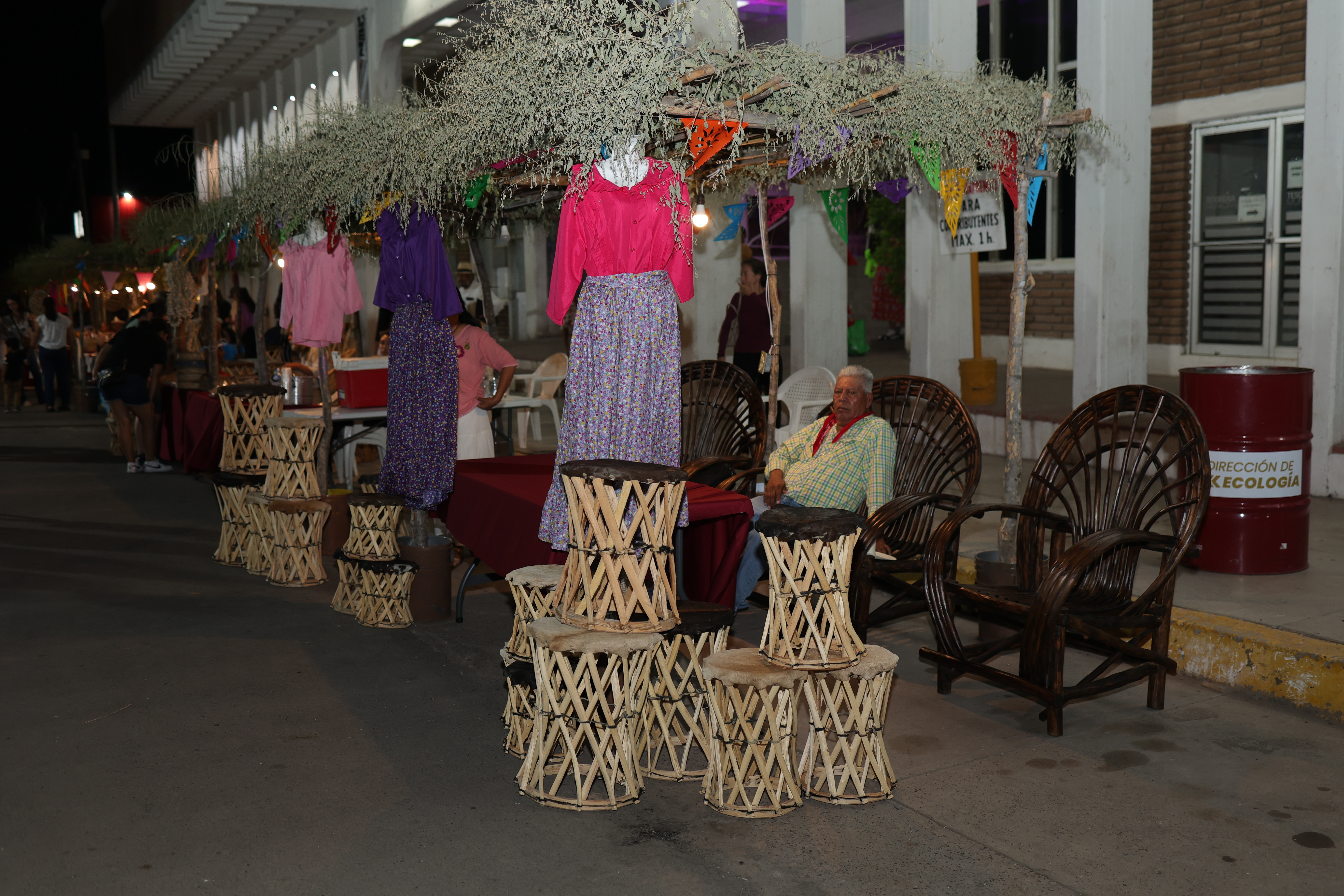 paseo-palacio-sabores-artesanias - Foto 228