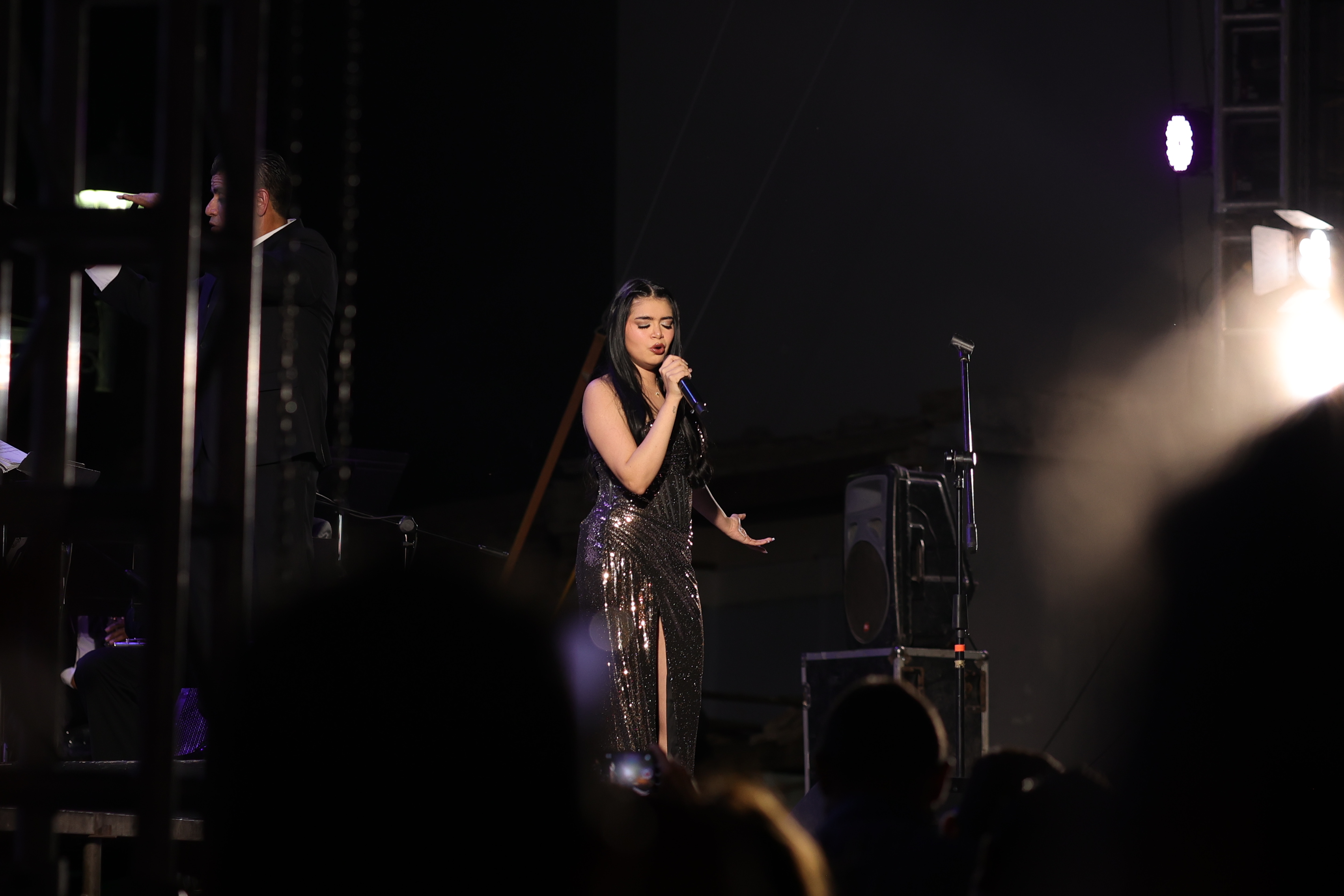 banda-sinfonica-estado-sonora - Foto 502