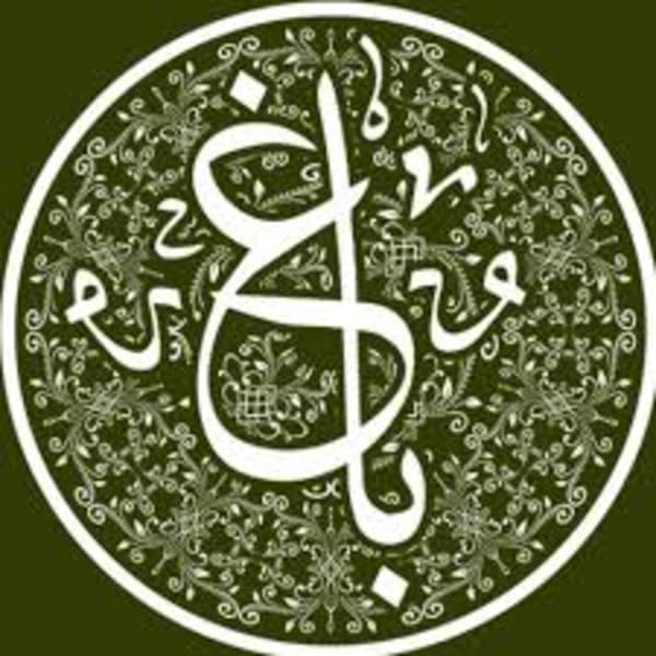Bagh - The Desi Experience