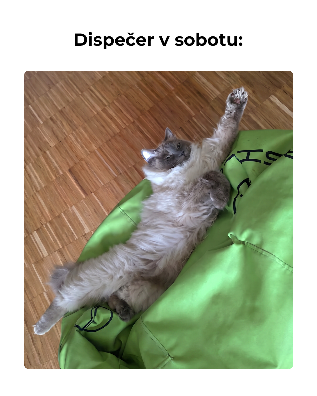 Když dorazí balík dřív, než čekáš 😄