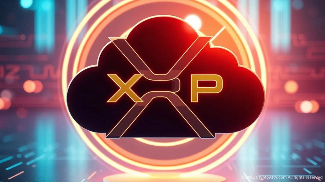 Активность сети XRP выросла на 24%