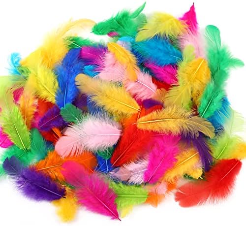 Vue 2 de Soarer Lot De Plumes