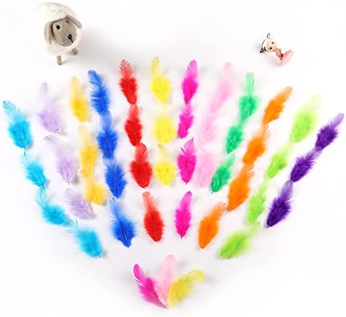 Vue 5 de Soarer Lot De Plumes