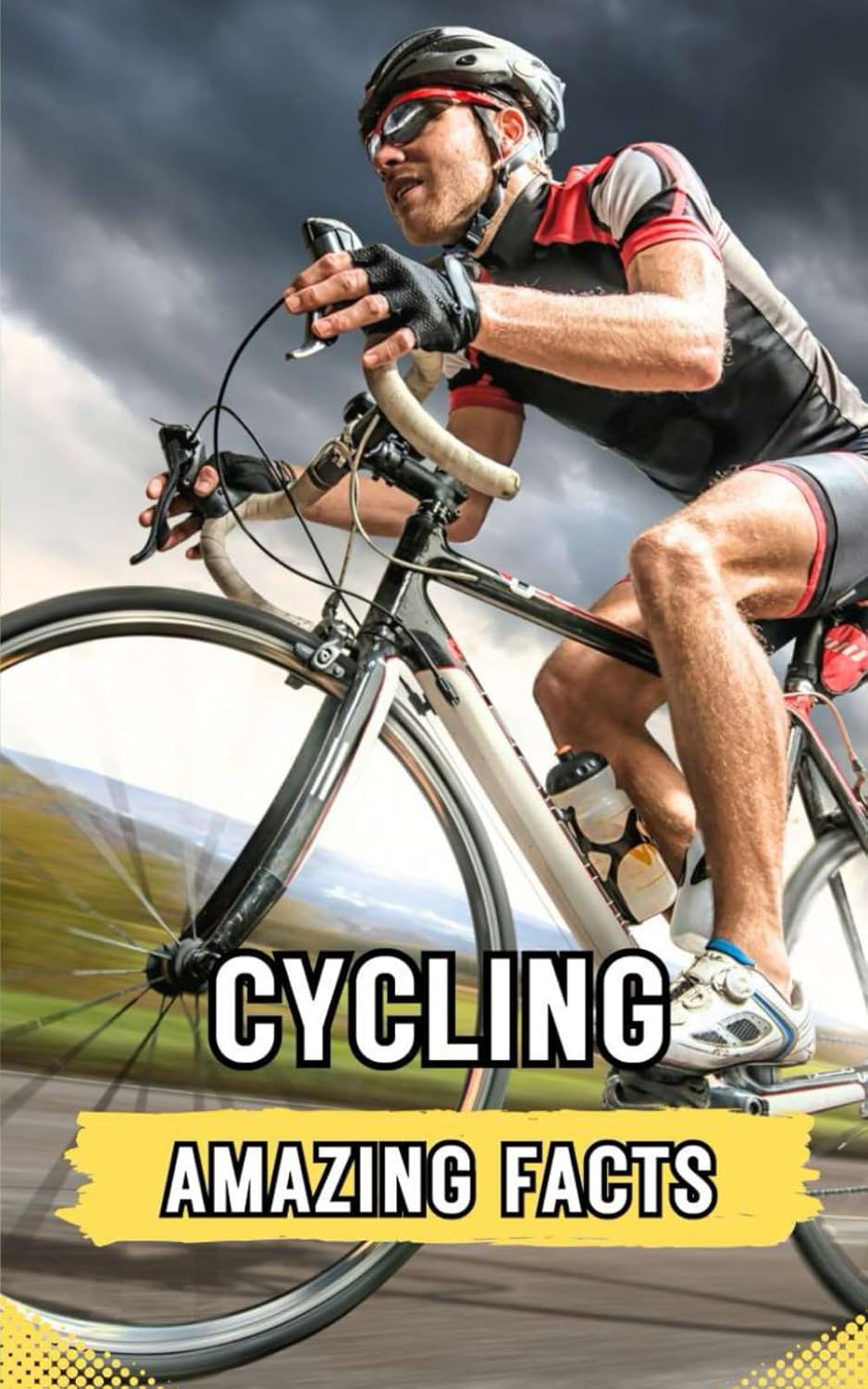 Vue 2 de Bicycle