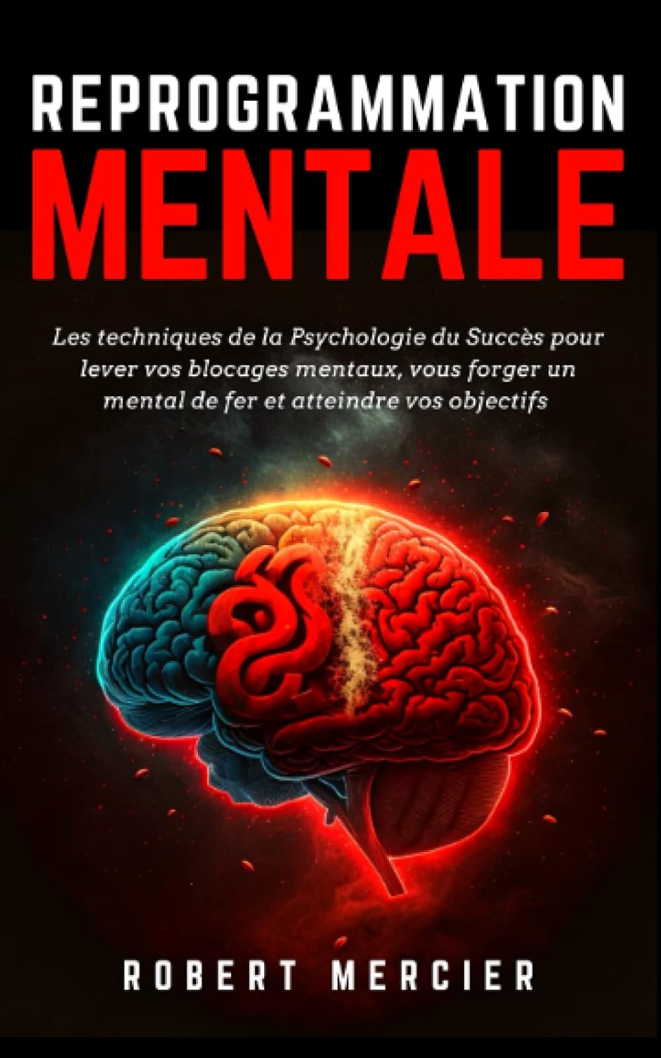 Vue 6 de Les Secrets De Lhypnose